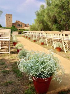 boda ceremonia entre olivos